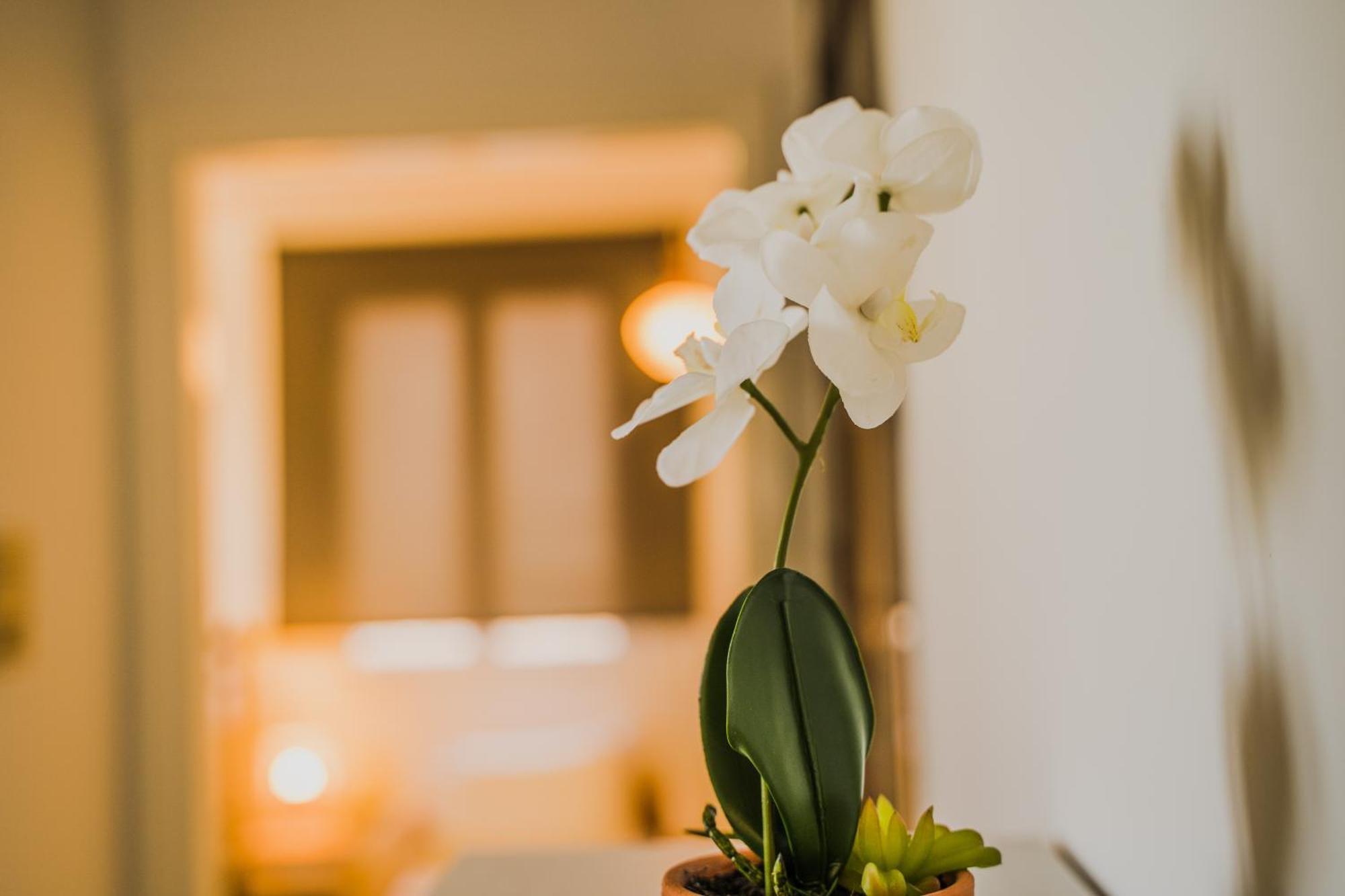 Green Apartment Ground Floor Feel Like Home Properties Saronida Екстер'єр фото